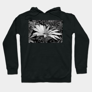 Iao Valley State Monument Study 15 Hoodie